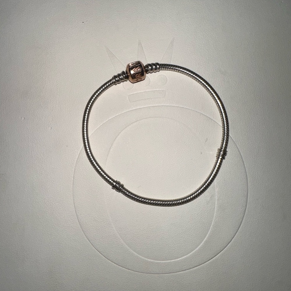Pandora two tone bracelet